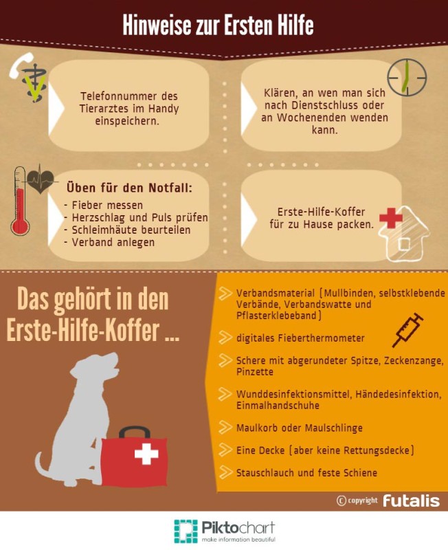 Infografik Erste Hilfe bei Hunden